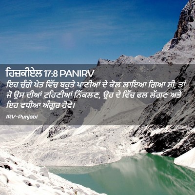 Picture 02 - ਹਿਜ਼ਕੀਏਲ 17:8 PANIRV - ਇਹ ਚੰਗੇ ਖੇਤ ਵਿੱਚ - Bible Verse Picture
