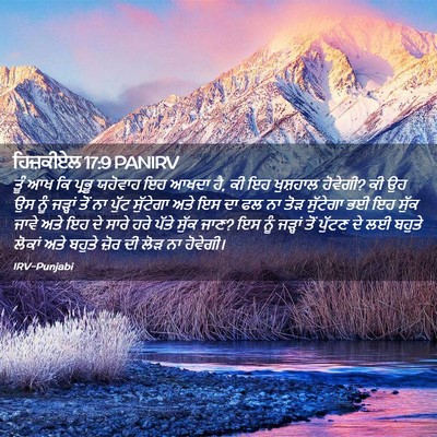 Picture 02 - ਹਿਜ਼ਕੀਏਲ 17:9 PANIRV - ਤੂੰ ਆਖ ਕਿ ਪ੍ਰਭੂ - Bible Verse Picture