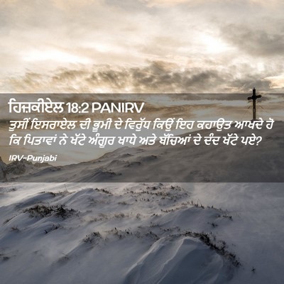 Picture 02 - ਹਿਜ਼ਕੀਏਲ 18:2 PANIRV - ਤੁਸੀਂ ਇਸਰਾਏਲ ਦੀ - Bible Verse Picture