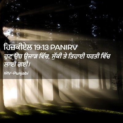 Picture 02 - ਹਿਜ਼ਕੀਏਲ 19:13 PANIRV - ਹੁਣ ਉਹ ਉਜਾੜ ਵਿੱਚ, - Bible Verse Picture