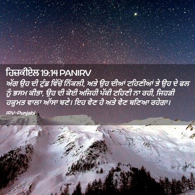 Picture 02 - ਹਿਜ਼ਕੀਏਲ 19:14 PANIRV - ਅੱਗ ਉਹ ਦੀ ਟੁੰਡ - Bible Verse Picture