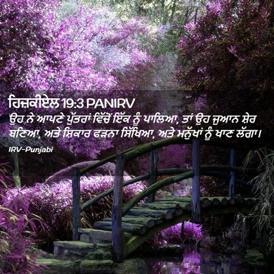 Picture 02 - ਹਿਜ਼ਕੀਏਲ 19:3 PANIRV - ਉਹ ਨੇ ਆਪਣੇ ਪੁੱਤਰਾਂ - Bible Verse Picture