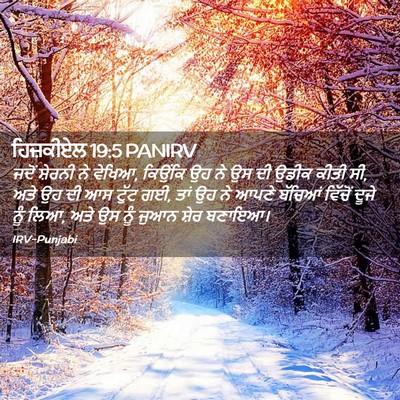 Picture 02 - ਹਿਜ਼ਕੀਏਲ 19:5 PANIRV - ਜਦੋਂ ਸ਼ੇਰਨੀ ਨੇ - Bible Verse Picture