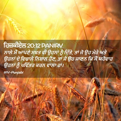 Picture 02 - ਹਿਜ਼ਕੀਏਲ 20:12 PANIRV - ਨਾਲੇ ਮੈਂ ਆਪਣੇ ਸਬਤ - Bible Verse Picture