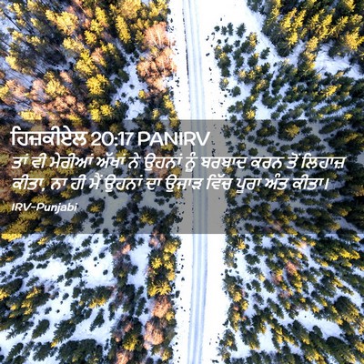 Picture 02 - ਹਿਜ਼ਕੀਏਲ 20:17 PANIRV - ਤਾਂ ਵੀ ਮੇਰੀਆਂ - Bible Verse Picture