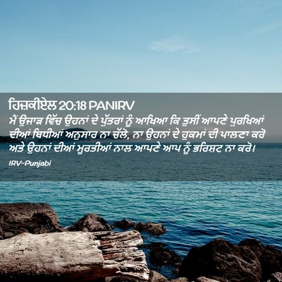 Picture 02 - ਹਿਜ਼ਕੀਏਲ 20:18 PANIRV - ਮੈਂ ਉਜਾੜ ਵਿੱਚ - Bible Verse Picture