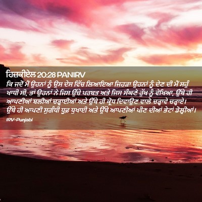 Picture 02 - ਹਿਜ਼ਕੀਏਲ 20:28 PANIRV - ਕਿ ਜਦੋਂ ਮੈਂ ਉਹਨਾਂ - Bible Verse Picture