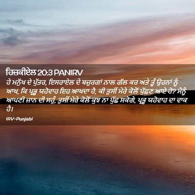 Picture 02 - ਹਿਜ਼ਕੀਏਲ 20:3 PANIRV - ਹੇ ਮਨੁੱਖ ਦੇ ਪੁੱਤਰ, - Bible Verse Picture