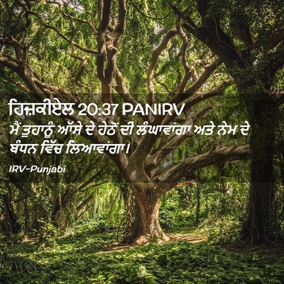 Picture 02 - ਹਿਜ਼ਕੀਏਲ 20:37 PANIRV - ਮੈਂ ਤੁਹਾਨੂੰ ਆੱਸੇ - Bible Verse Picture