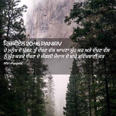Picture 02 - ਹਿਜ਼ਕੀਏਲ 20:46 PANIRV - ਹੇ ਮਨੁੱਖ ਦੇ ਪੁੱਤਰ, - Bible Verse Picture