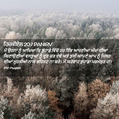 Picture 02 - ਹਿਜ਼ਕੀਏਲ 20:7 PANIRV - ਮੈਂ ਉਹਨਾਂ ਨੂੰ ਆਖਿਆ - Bible Verse Picture