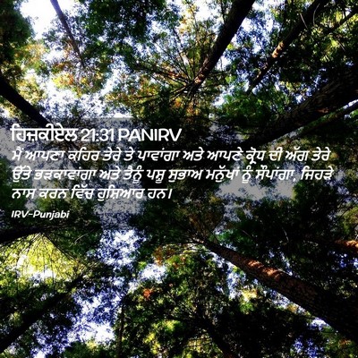 Picture 02 - ਹਿਜ਼ਕੀਏਲ 21:31 PANIRV - ਮੈਂ ਆਪਣਾ ਕਹਿਰ ਤੇਰੇ - Bible Verse Picture