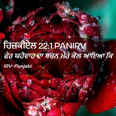 Picture 02 - ਹਿਜ਼ਕੀਏਲ 22:1 PANIRV - ਫੇਰ ਯਹੋਵਾਹ ਦਾ ਬਚਨ - Bible Verse Picture