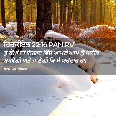 Picture 02 - ਹਿਜ਼ਕੀਏਲ 22:16 PANIRV - ਤੂੰ ਕੌਮਾਂ ਦੀ ਨਿਗਾਹ - Bible Verse Picture