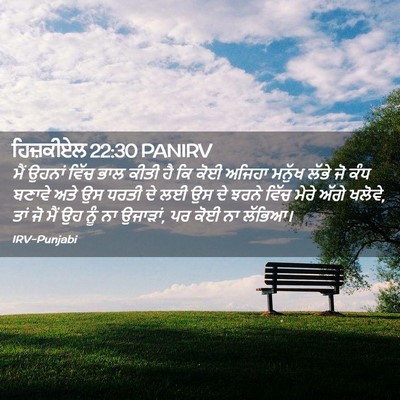 Picture 02 - ਹਿਜ਼ਕੀਏਲ 22:30 PANIRV - ਮੈਂ ਉਹਨਾਂ ਵਿੱਚ ਭਾਲ - Bible Verse Picture