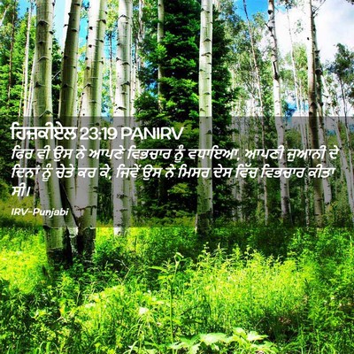 Picture 02 - ਹਿਜ਼ਕੀਏਲ 23:19 PANIRV - ਫਿਰ ਵੀ ਉਸ ਨੇ ਆਪਣੇ - Bible Verse Picture