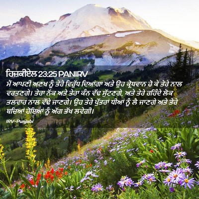 Picture 02 - ਹਿਜ਼ਕੀਏਲ 23:25 PANIRV - ਮੈਂ ਆਪਣੀ ਅਣਖ ਨੂੰ - Bible Verse Picture