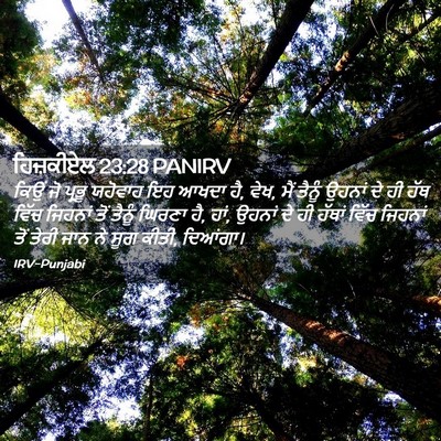 Picture 02 - ਹਿਜ਼ਕੀਏਲ 23:28 PANIRV - ਕਿਉਂ ਜੋ ਪ੍ਰਭੂ - Bible Verse Picture