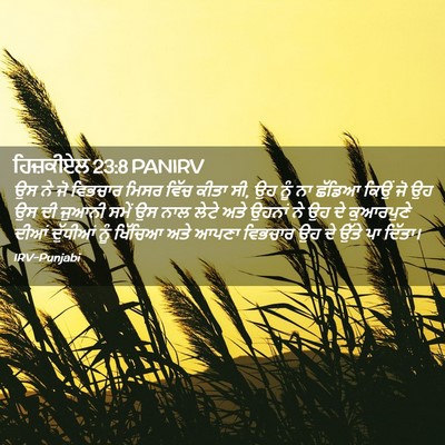 Picture 02 - ਹਿਜ਼ਕੀਏਲ 23:8 PANIRV - ਉਸ ਨੇ ਜੋ ਵਿਭਚਾਰ - Bible Verse Picture