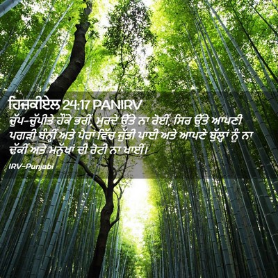 Picture 02 - ਹਿਜ਼ਕੀਏਲ 24:17 PANIRV - ਚੁੱਪ-ਚੁੱਪੀਤੇ - Bible Verse Picture