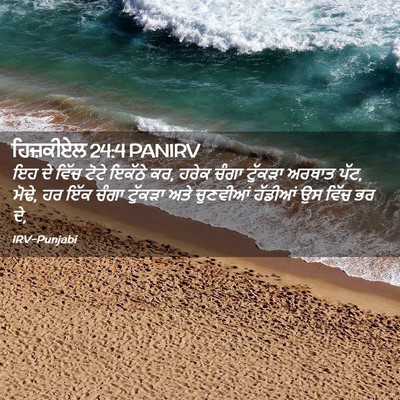 Picture 02 - ਹਿਜ਼ਕੀਏਲ 24:4 PANIRV - ਇਹ ਦੇ ਵਿੱਚ ਟੋਟੇ - Bible Verse Picture