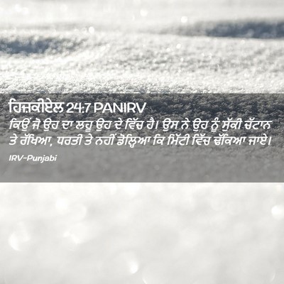 Picture 02 - ਹਿਜ਼ਕੀਏਲ 24:7 PANIRV - ਕਿਉਂ ਜੋ ਉਹ ਦਾ ਲਹੂ - Bible Verse Picture