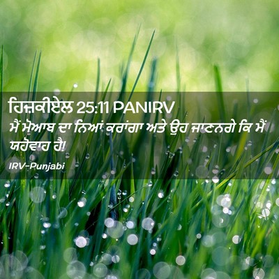 Picture 02 - ਹਿਜ਼ਕੀਏਲ 25:11 PANIRV - ਮੈਂ ਮੋਆਬ ਦਾ ਨਿਆਂ - Bible Verse Picture