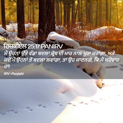 Picture 02 - ਹਿਜ਼ਕੀਏਲ 25:17 PANIRV - ਮੈਂ ਉਹਨਾਂ ਉੱਤੇ - Bible Verse Picture