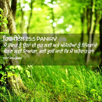 Picture 02 - ਹਿਜ਼ਕੀਏਲ 25:5 PANIRV - ਮੈਂ ਰੱਬਾਹ ਨੂੰ ਊਠਾਂ - Bible Verse Picture