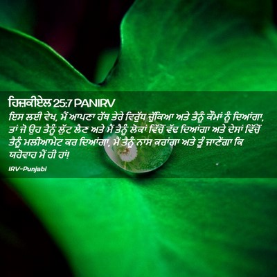 Picture 02 - ਹਿਜ਼ਕੀਏਲ 25:7 PANIRV - ਇਸ ਲਈ ਵੇਖ, ਮੈਂ ਆਪਣਾ - Bible Verse Picture