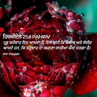 Picture 02 - ਹਿਜ਼ਕੀਏਲ 25:8 PANIRV - ਪ੍ਰਭੂ ਯਹੋਵਾਹ ਇਹ - Bible Verse Picture
