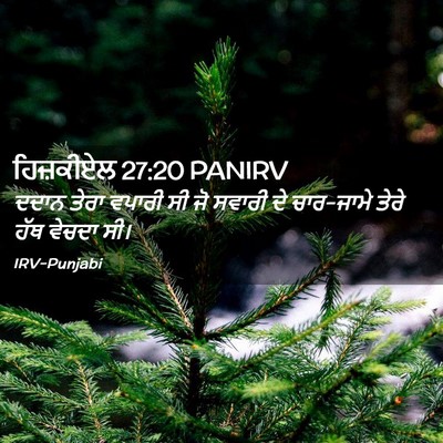 Picture 02 - ਹਿਜ਼ਕੀਏਲ 27:20 PANIRV - ਦਦਾਨ ਤੇਰਾ ਵਪਾਰੀ ਸੀ - Bible Verse Picture