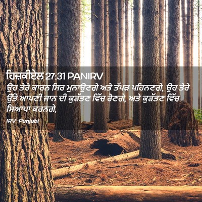 Picture 02 - ਹਿਜ਼ਕੀਏਲ 27:31 PANIRV - ਉਹ ਤੇਰੇ ਕਾਰਨ ਸਿਰ - Bible Verse Picture