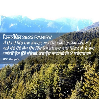 Picture 02 - ਹਿਜ਼ਕੀਏਲ 28:23 PANIRV - ਮੈਂ ਉਹ ਦੇ ਵਿੱਚ ਬਵਾ - Bible Verse Picture