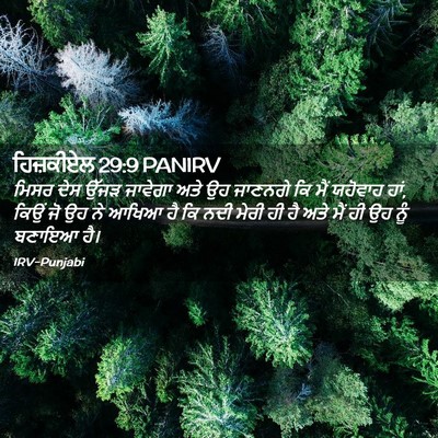 Picture 02 - ਹਿਜ਼ਕੀਏਲ 29:9 PANIRV - ਮਿਸਰ ਦੇਸ ਉੱਜੜ - Bible Verse Picture