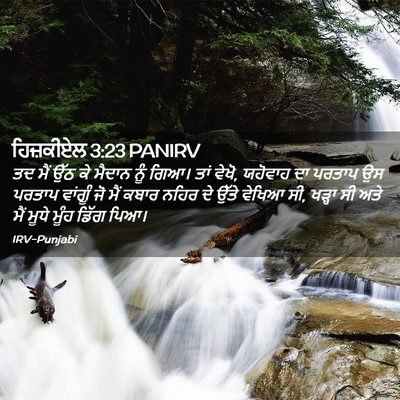 Picture 02 - ਹਿਜ਼ਕੀਏਲ 3:23 PANIRV - ਤਦ ਮੈਂ ਉੱਠ ਕੇ ਮੈਦਾਨ - Bible Verse Picture