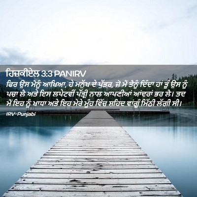 Picture 02 - ਹਿਜ਼ਕੀਏਲ 3:3 PANIRV - ਫਿਰ ਉਸ ਮੈਨੂੰ ਆਖਿਆ, - Bible Verse Picture