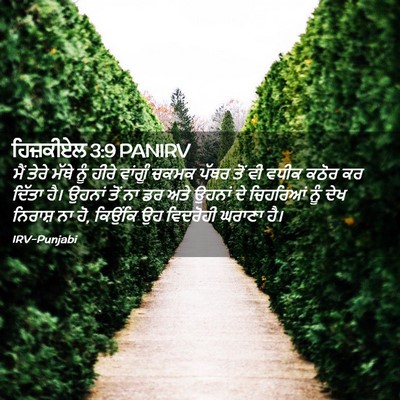 Picture 02 - ਹਿਜ਼ਕੀਏਲ 3:9 PANIRV - ਮੈਂ ਤੇਰੇ ਮੱਥੇ ਨੂੰ - Bible Verse Picture