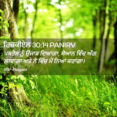 Picture 02 - ਹਿਜ਼ਕੀਏਲ 30:14 PANIRV - ਪਥਰੋਸ ਨੂੰ ਉਜਾੜ - Bible Verse Picture