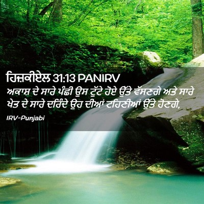 Picture 02 - ਹਿਜ਼ਕੀਏਲ 31:13 PANIRV - ਅਕਾਸ਼ ਦੇ ਸਾਰੇ ਪੰਛੀ - Bible Verse Picture