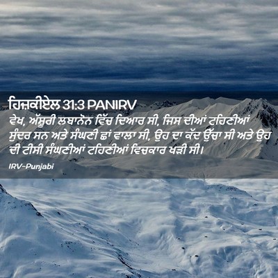 Picture 02 - ਹਿਜ਼ਕੀਏਲ 31:3 PANIRV - ਵੇਖ, ਅੱਸ਼ੂਰੀ - Bible Verse Picture