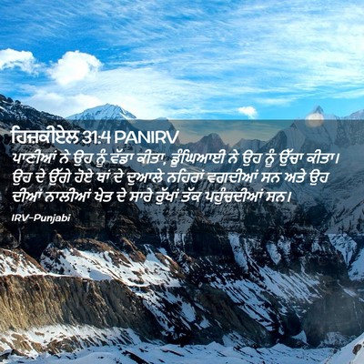 Picture 02 - ਹਿਜ਼ਕੀਏਲ 31:4 PANIRV - ਪਾਣੀਆਂ ਨੇ ਉਹ ਨੂੰ - Bible Verse Picture