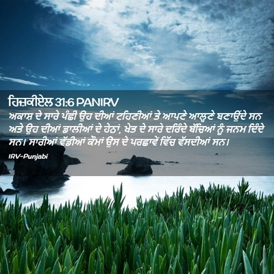Picture 02 - ਹਿਜ਼ਕੀਏਲ 31:6 PANIRV - ਅਕਾਸ਼ ਦੇ ਸਾਰੇ ਪੰਛੀ - Bible Verse Picture