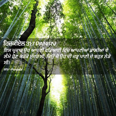 Picture 02 - ਹਿਜ਼ਕੀਏਲ 31:7 PANIRV - ਇਸ ਪ੍ਰਕਾਰ ਉਹ ਆਪਣੀ - Bible Verse Picture
