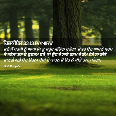 Picture 02 - ਹਿਜ਼ਕੀਏਲ 33:13 PANIRV - ਜਦੋਂ ਮੈਂ ਧਰਮੀ ਨੂੰ - Bible Verse Picture