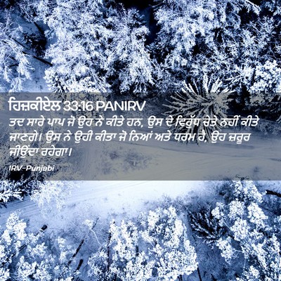 Picture 02 - ਹਿਜ਼ਕੀਏਲ 33:16 PANIRV - ਤਦ ਸਾਰੇ ਪਾਪ ਜੋ ਉਹ - Bible Verse Picture