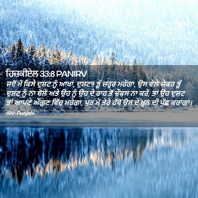 Picture 02 - ਹਿਜ਼ਕੀਏਲ 33:8 PANIRV - ਜਦੋਂ ਮੈਂ ਕਿਸੇ - Bible Verse Picture