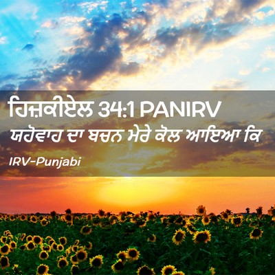 Picture 02 - ਹਿਜ਼ਕੀਏਲ 34:1 PANIRV - ਯਹੋਵਾਹ ਦਾ ਬਚਨ ਮੇਰੇ - Bible Verse Picture