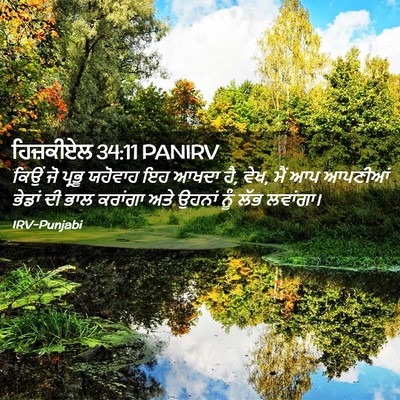 Picture 02 - ਹਿਜ਼ਕੀਏਲ 34:11 PANIRV - ਕਿਉਂ ਜੋ ਪ੍ਰਭੂ - Bible Verse Picture