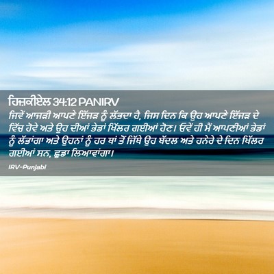 Picture 02 - ਹਿਜ਼ਕੀਏਲ 34:12 PANIRV - ਜਿਵੇਂ ਆਜੜੀ ਆਪਣੇ - Bible Verse Picture